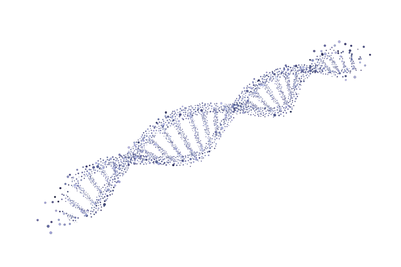 DNA